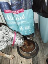 ORIJEN Six Fish Sans Céréales pour chien adulte et chiot-0f042f8857f9719d6b0b2ec7cf4da772