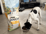 DOG CHOW Complet avec du poulet pour chien-6f39f4c537292f7541fa88a16ab0ff4b