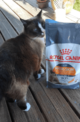 Royal Canin Hair & Skin Care pour chat-977e14b782c98a616f46d502911da7d1