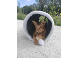 Tunnel pour chat Zolia Ricote - 2 tailles-ace8fd7249b6585685f74473ef2595ca