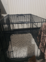 Cage de transport pliable en métal noire pour chien avec poignée Zolia Yala - Plusieurs tailles-dd169cd1825b70d1f9b0aee27d407e84