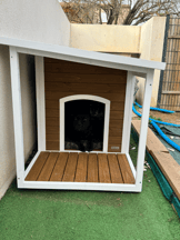 Niche pour chien à toit plat avec terrasse Zolia Nordic - 3 tailles disponibles-e7b63f213c55fea214d7fe95f73b80b6