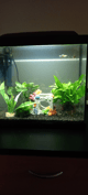 Décoration aquarium cube habitat-9e4af4f07f3252b53cd12ae5041e4797