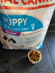 Royal Canin Giant Puppy -e3c42fe03ae1fdcc9ac26aa6be951cb2